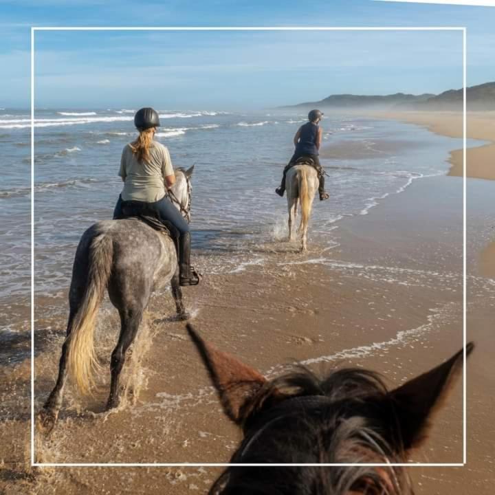Agriturismo I Grappoli アルベレーゼ エクステリア 写真